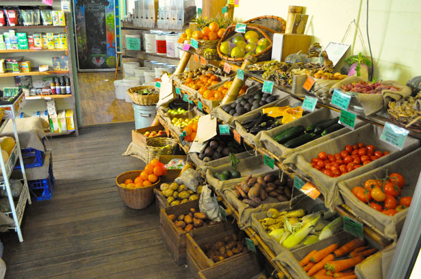 Tips for Buying Organic Food on the Cheap
